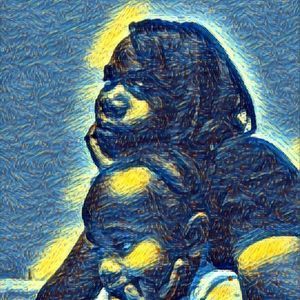 Meet your Posher, Averyll